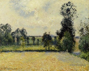 champ d’avoine à eragny 1885 Camille Pissarro Peinture à l'huile
